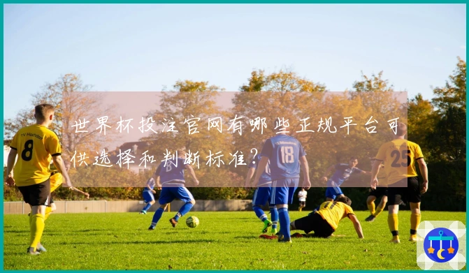 世界杯投注官网有哪些正规平台可供选择和判断标准？