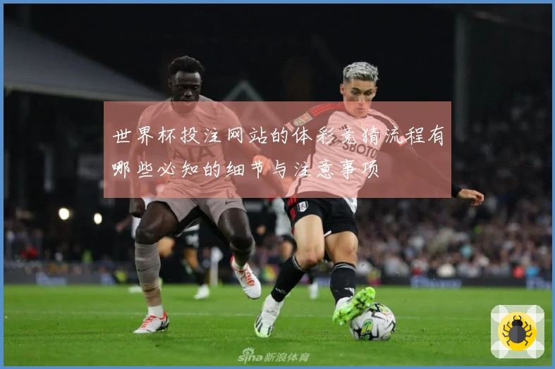 世界杯投注网站的体彩竞猜流程有哪些必知的细节与注意事项