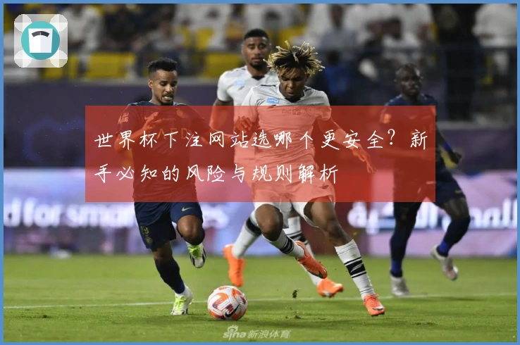 世界杯下注网站选哪个更安全？新手必知的风险与规则解析