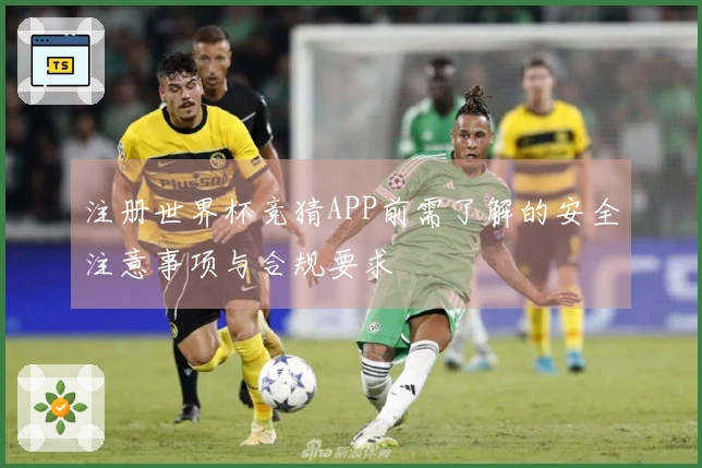 注册世界杯竞猜APP前需了解的安全注意事项与合规要求