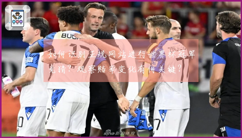 如何识别正规网站进行世界杯冠军竞猜？观察赔率变化有何关键？