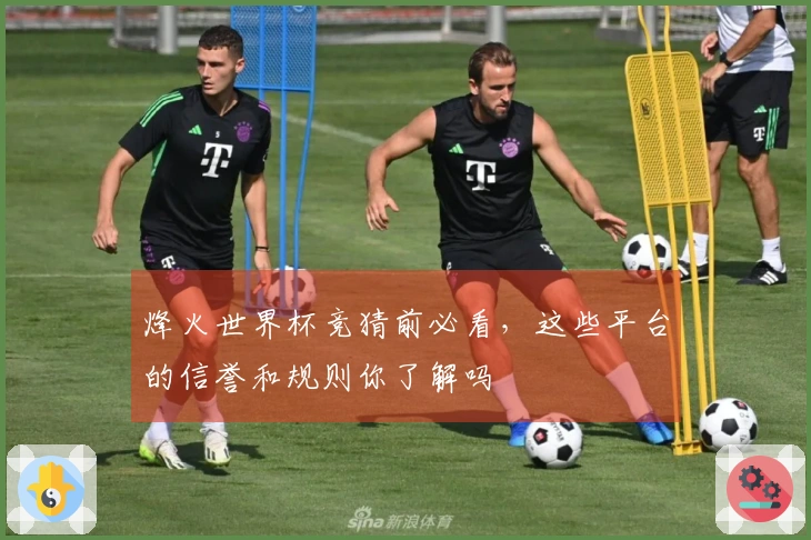 烽火世界杯竞猜前必看，这些平台的信誉和规则你了解吗