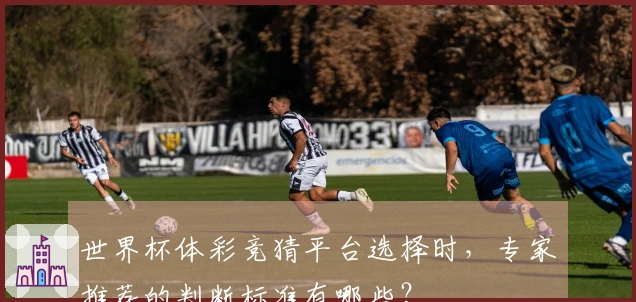 世界杯体彩竞猜平台选择时，专家推荐的判断标准有哪些？