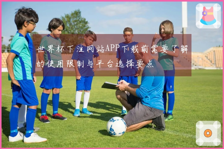 世界杯下注网站APP下载前需要了解的使用限制与平台选择要点