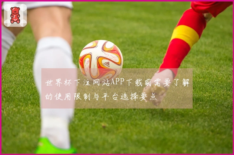世界杯下注网站APP下载前需要了解的使用限制与平台选择要点