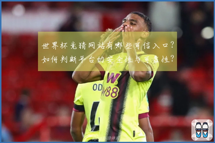 世界杯竞猜网站有哪些可信入口？如何判断平台的安全性与可靠性？