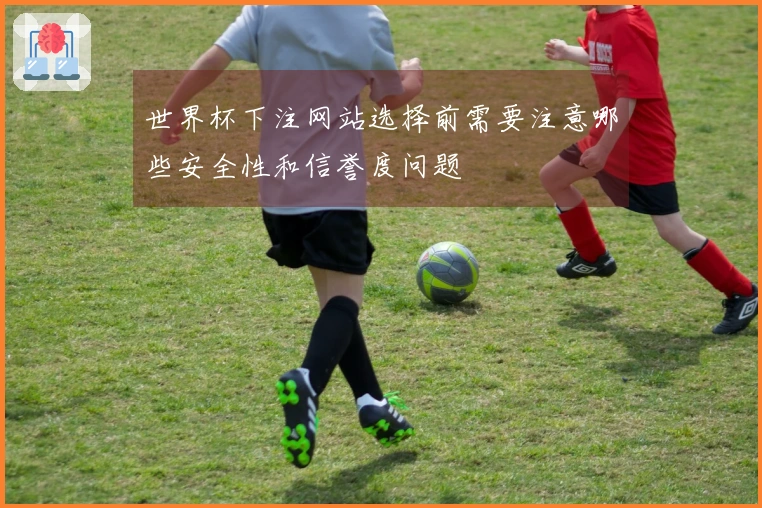世界杯下注网站选择前需要注意哪些安全性和信誉度问题