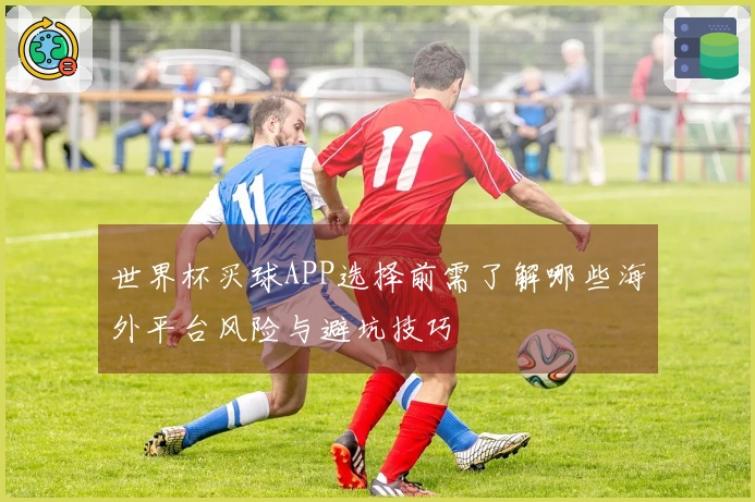 世界杯买球APP选择前需了解哪些海外平台风险与避坑技巧