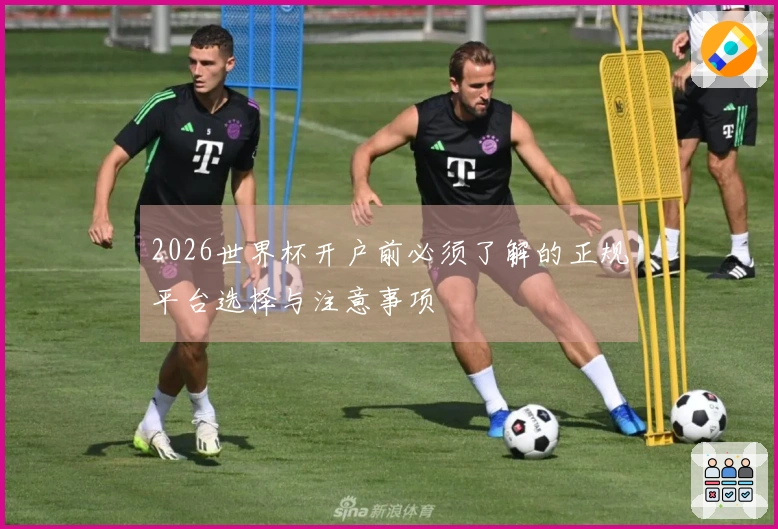 2026世界杯开户前必须了解的正规平台选择与注意事项