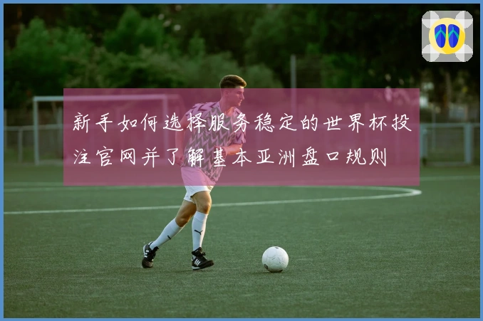新手如何选择服务稳定的世界杯投注官网并了解基本亚洲盘口规则