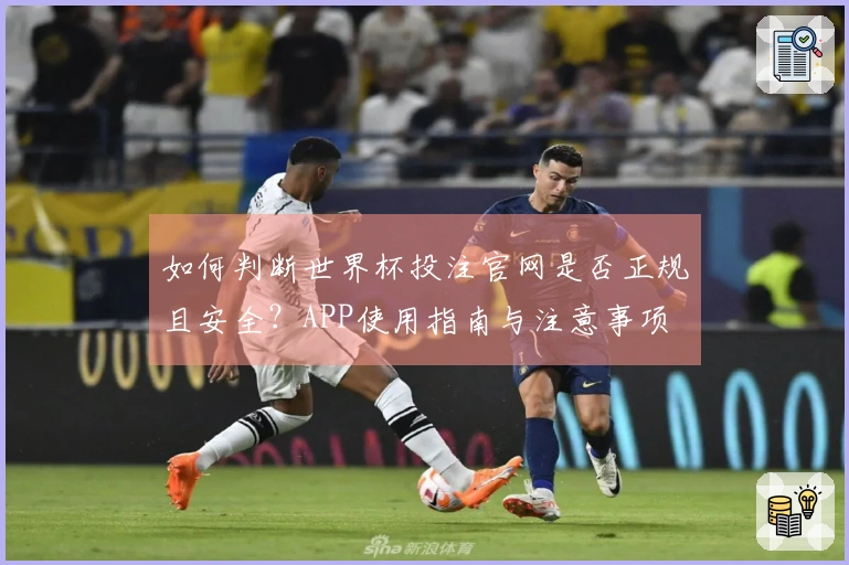如何判断世界杯投注官网是否正规且安全？APP使用指南与注意事项