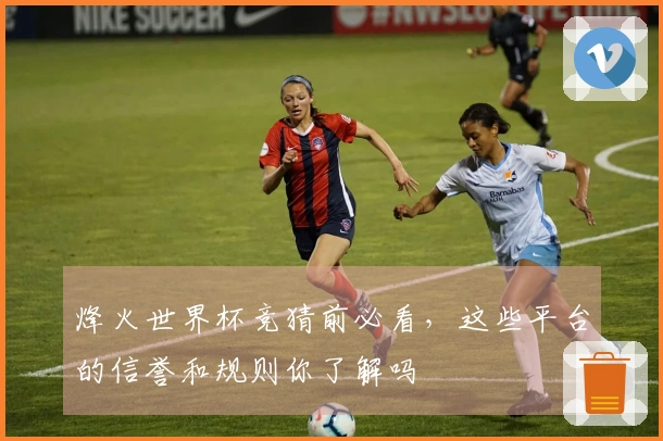 烽火世界杯竞猜前必看，这些平台的信誉和规则你了解吗