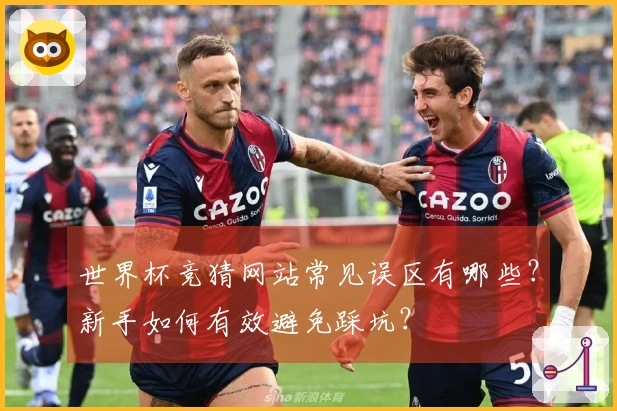 世界杯竞猜网站常见误区有哪些？新手如何有效避免踩坑？