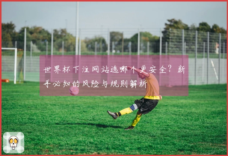 世界杯下注网站选哪个更安全？新手必知的风险与规则解析