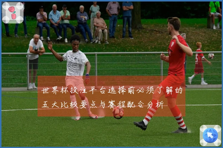 世界杯投注平台选择前必须了解的五大比较要点与赛程配合分析