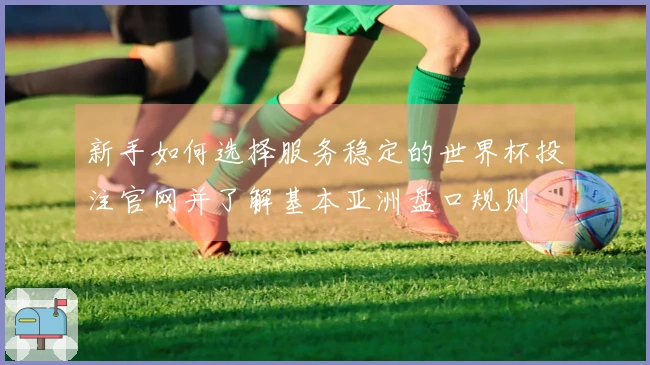 新手如何选择服务稳定的世界杯投注官网并了解基本亚洲盘口规则