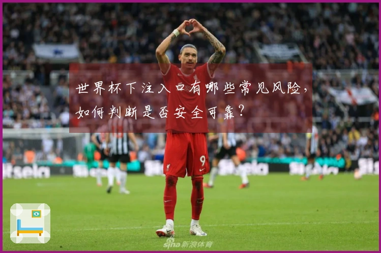 世界杯下注入口有哪些常见风险，如何判断是否安全可靠？