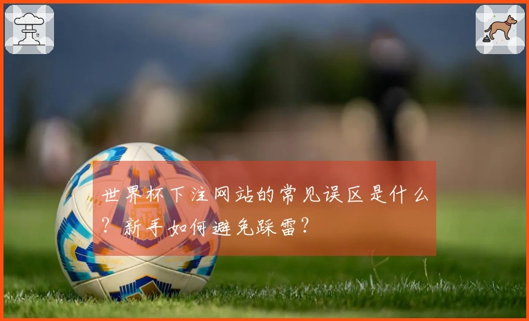 世界杯下注网站的常见误区是什么？新手如何避免踩雷？