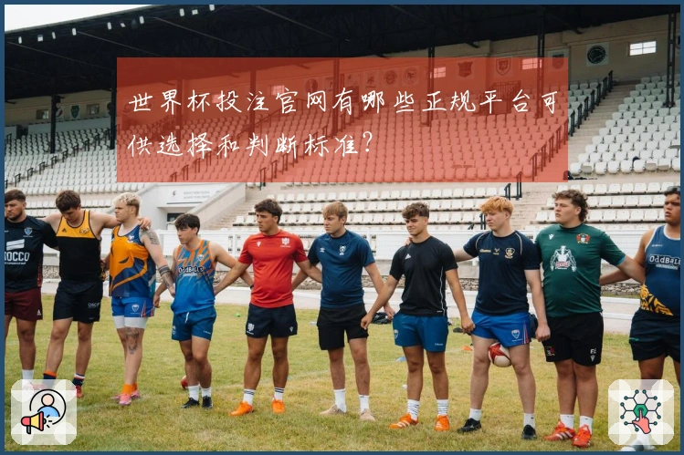 世界杯投注官网有哪些正规平台可供选择和判断标准？