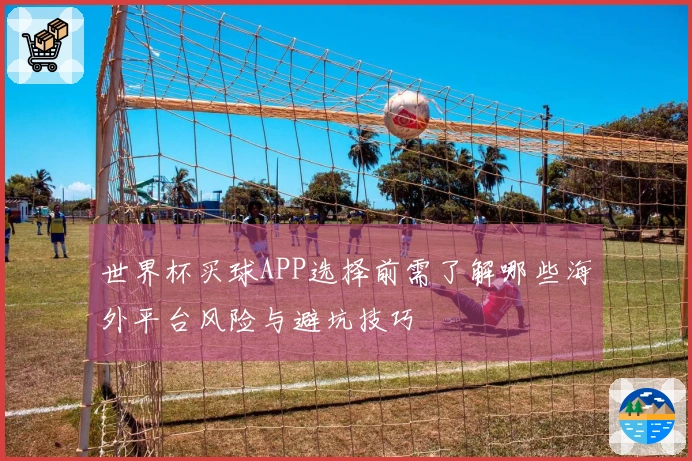 世界杯买球APP选择前需了解哪些海外平台风险与避坑技巧